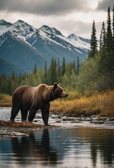 Observing wildlife in Alaska: a bear and moose by a serene river, with snow-capped mountains in the background Landscapes With Animals, Wildlife Pictures Nature, Nature Wildlife, Bear In Woods, Animal Nature Aesthetic, Canadian Wildlife Photography, Montana Wildlife, Canada Animals, Bear In Snow