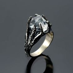 a silver ring with an animal's head on the front and side, set against a black background