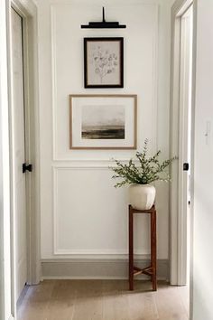 a white hallway with pictures on the wall and a plant in a vase next to it