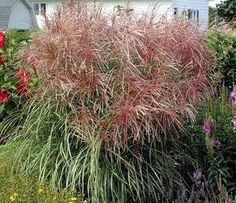 the house is surrounded by colorful flowers and plants