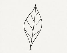 a black and white drawing of a leaf