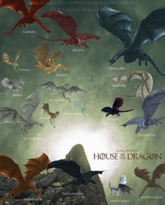 a group of different types of dragon flying in the sky with their names on them