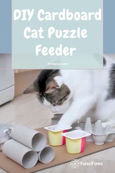 a cat is playing with some cups on the floor and it's caption reads diy cardboard cat puzzle feeder