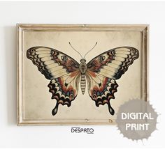 an image of a butterfly on display in a frame with the caption desparto