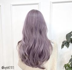 Hair Color Unique, Dark Blood, Hair Summer, Purple Hair, Hair Colors, Pink Hair, Summer Hairstyles