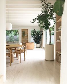 a living room filled with furniture and a potted plant next to a doorway that leads into a dining area