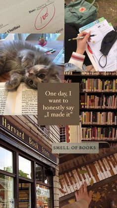 there is a collage of pictures with books and cats