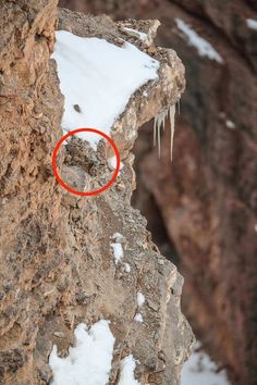 a red circle is on the side of a rock with ice hanging from it's sides