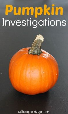 an orange pumpkin sitting on top of a black surface with the words pumpkin investigatings