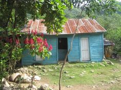 a blue house with red flowers in the yard