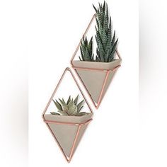 two planters with succulents in them are hanging on the wall next to each other