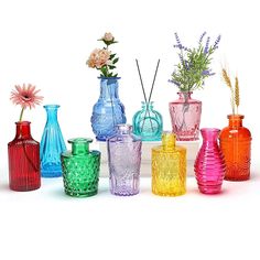 there are many different colored vases with flowers in them