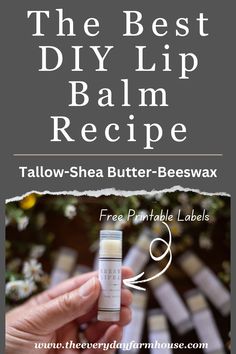 Diy Chapstick Scents, Diy Burts Bees Chapstick, Tallow Lip Balm Diy, How To Make Chapstick Diy, Diy Tallow Lip Balm, Tallow Honey Lip Balm Recipe, Healing Lip Balm Recipe, Goat Milk Lip Balm Recipe, Beef Tallow Lip Balm Recipe