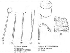 Dental Assistant Study Guide, Dental Assistant School, Dentist Assistant, Dental Hygiene Student, Dental World, Dental Posts, Dental Hygiene School, Dental Anatomy