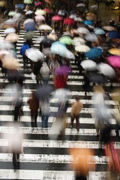 many people are walking across the street with umbrellas in the rain and crosswalk