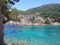 clear blue water surrounded by trees and mountains