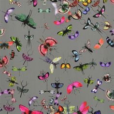 many different colored butterflies on a gray background