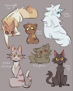 some cats that are all different colors and sizes, with the names in each one