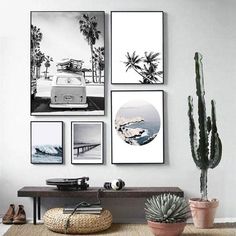 a living room with pictures on the wall and cactus in potted plant next to it