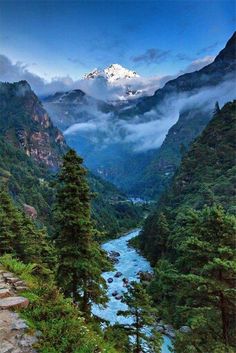 a river running through a lush green forest filled with mountains covered in clouds and snow