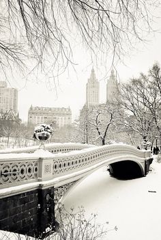 an instagram page with a black and white photo of a bridge in the snow