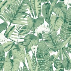 a green and white wallpaper with lots of leaves on it's side,