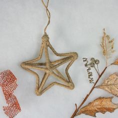 a star ornament hanging from a string next to dried leaves and berries on a white surface