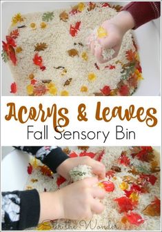 a child is playing with leaves and fall sensory bins