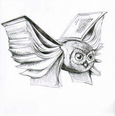 an owl is reading a book while flying through the air