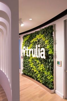 a green wall in an office with the word attulia on it's side