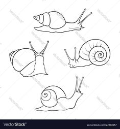 snails set on white background for coloring