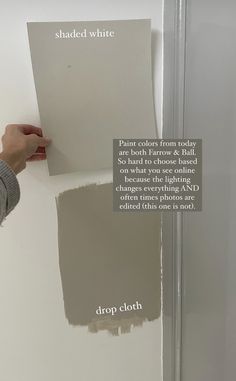 a person is painting the walls with shades of gray and white, while another hand holds a paint roller