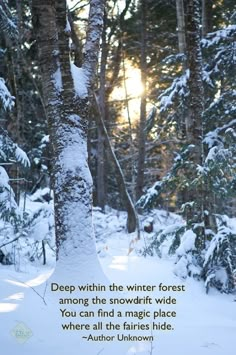 a snow covered forest with trees and a quote from author on the tree trunk that says, deep within the winter forest among the snow