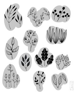 a bunch of different plants that are drawn in black and white on a white background