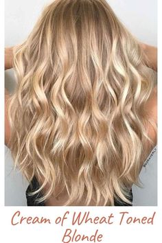 Cream of Wheat Toned Blonde Highlight Bob, Blonde Foils, Warm Blonde Hair, Cream Of Wheat, Neutral Blonde, Champagne Blonde, Warm Blonde, Blonde Hair Shades, Blonde Hair Looks