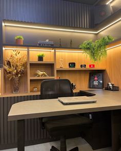 an office desk with a laptop and plant in the center, along with shelves on either side