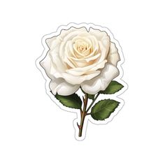 a white rose with green leaves is shown on a sticker that says, i love you