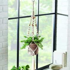 a window sill with a potted plant hanging from it