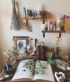 an open book sitting on top of a wooden table next to plants and vases