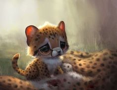 a baby cheetah is laying down on the ground