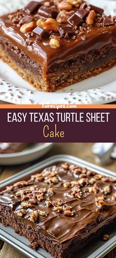 chocolate turtle sheet cake with nuts on top and the words easy texas turtle sheet cake above it