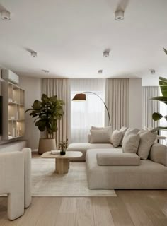 a living room filled with furniture and a large plant in the middle of the room