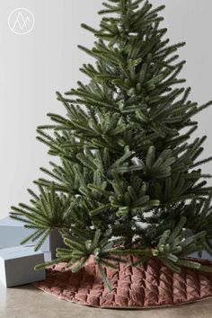 a small christmas tree in a potted planter on the floor next to a box