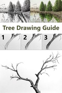 How to Draw ANY Tree Pencil Drawing Of Trees, How To Draw Trees Step By Step Pencil, How To Draw Trees Easy, How To Draw Landscape, Trees To Draw, How To Draw A Tree, Draw A Pine Tree, Spring Season Drawing, Drawing And Painting Ideas