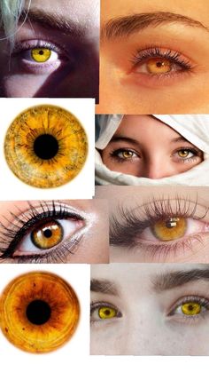 Copper Eyes, Copper Eye, Visual Reference, Amber Eyes, Gorgeous Eyes, Hazel Eyes, Art References, Beautiful Eyes