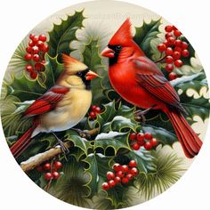 two birds are sitting on a holly - covered branch with red berries and green leaves