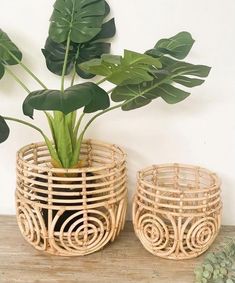 two planters with plants in them sitting on a table