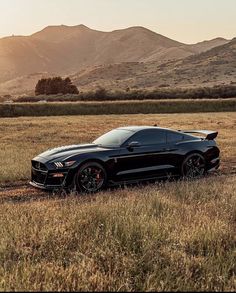 a black sports car parked in the middle of a field