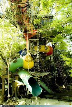 there is a playground in the woods with lots of toys on it and trees growing all around