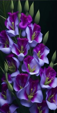 purple and white flowers are in a vase